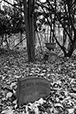 At Rest 26